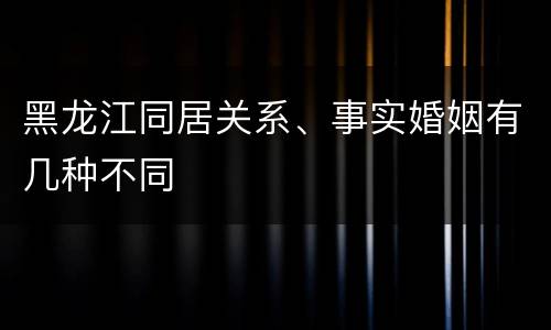黑龙江同居关系、事实婚姻有几种不同