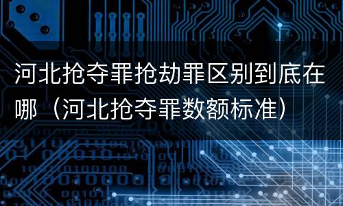 河北抢夺罪抢劫罪区别到底在哪（河北抢夺罪数额标准）