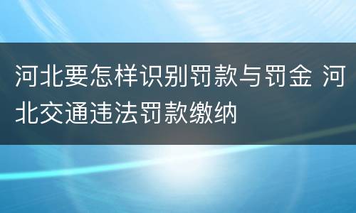 河北要怎样识别罚款与罚金 河北交通违法罚款缴纳