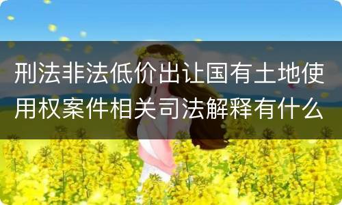 刑法非法低价出让国有土地使用权案件相关司法解释有什么重要规定