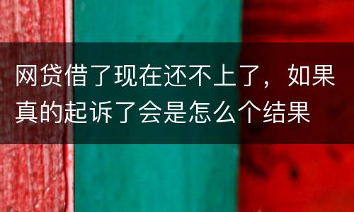 网贷借了现在还不上了，如果真的起诉了会是怎么个结果