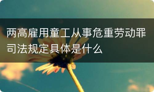 两高雇用童工从事危重劳动罪司法规定具体是什么