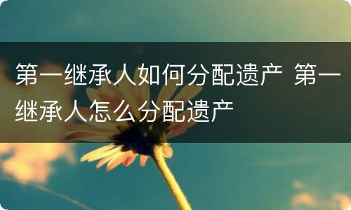 第一继承人如何分配遗产 第一继承人怎么分配遗产