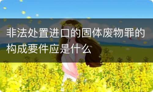 非法处置进口的固体废物罪的构成要件应是什么