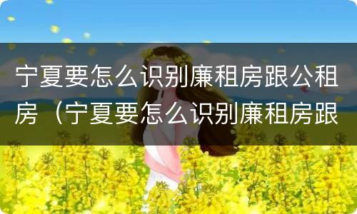 宁夏要怎么识别廉租房跟公租房（宁夏要怎么识别廉租房跟公租房的区别）