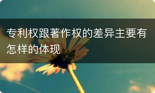 专利权跟著作权的差异主要有怎样的体现