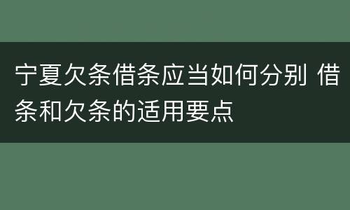 宁夏欠条借条应当如何分别 借条和欠条的适用要点
