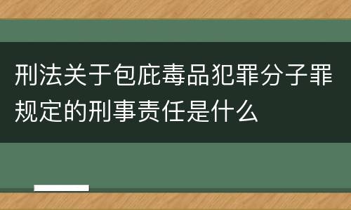 刑法关于包庇毒品犯罪分子罪规定的刑事责任是什么