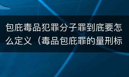 包庇毒品犯罪分子罪到底要怎么定义（毒品包庇罪的量刑标准）