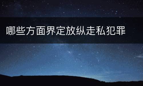 哪些方面界定放纵走私犯罪