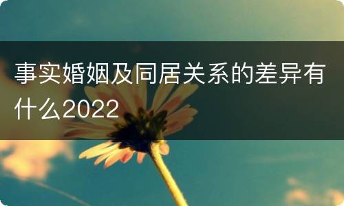 事实婚姻及同居关系的差异有什么2022