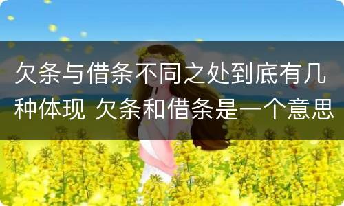 欠条与借条不同之处到底有几种体现 欠条和借条是一个意思吗