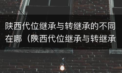 陕西代位继承与转继承的不同在哪（陕西代位继承与转继承的不同在哪里）