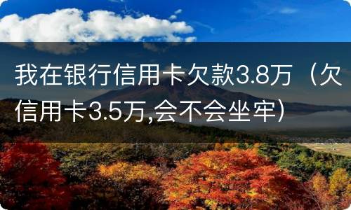 我在银行信用卡欠款3.8万（欠信用卡3.5万,会不会坐牢）