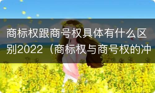 商标权跟商号权具体有什么区别2022（商标权与商号权的冲突以及解决）