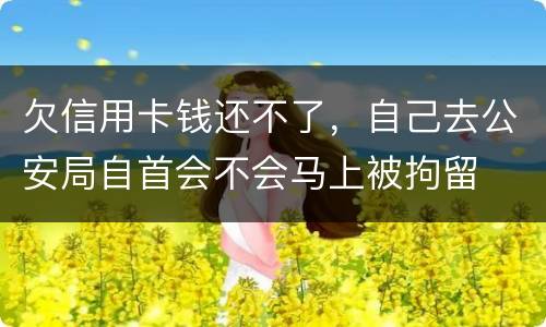 欠信用卡钱还不了,自己去公安局自首会不会马上被拘留