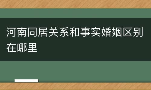 河南同居关系和事实婚姻区别在哪里