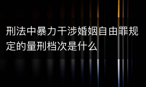 刑法中暴力干涉婚姻自由罪规定的量刑档次是什么
