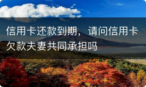 信用卡还款到期，请问信用卡欠款夫妻共同承担吗