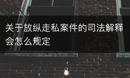 关于放纵走私案件的司法解释会怎么规定