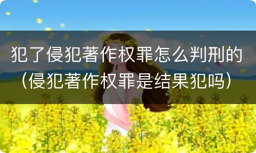 犯了侵犯著作权罪怎么判刑的（侵犯著作权罪是结果犯吗）