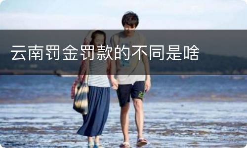 云南罚金罚款的不同是啥