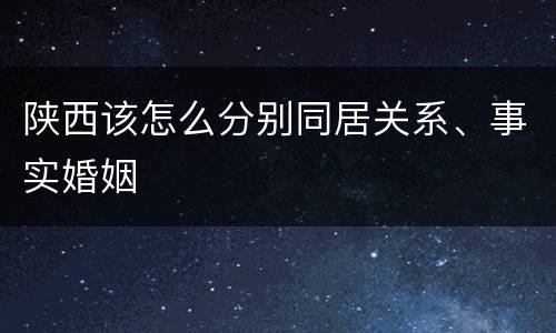 陕西该怎么分别同居关系、事实婚姻