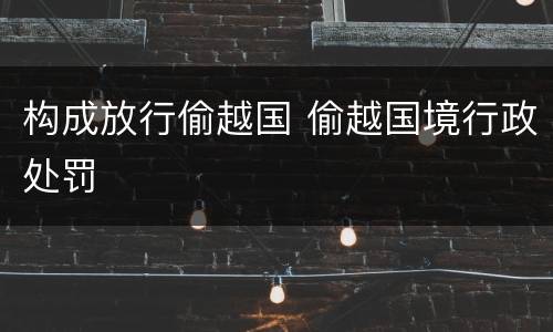 构成放行偷越国 偷越国境行政处罚