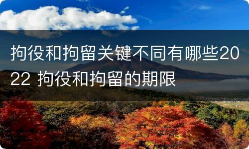 拘役和拘留关键不同有哪些2022 拘役和拘留的期限