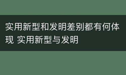 实用新型和发明差别都有何体现 实用新型与发明