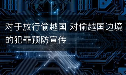 对于放行偷越国 对偷越国边境的犯罪预防宣传