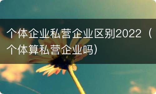 个体企业私营企业区别2022（个体算私营企业吗）