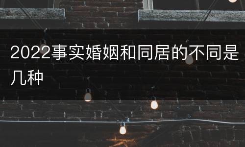 2022事实婚姻和同居的不同是几种