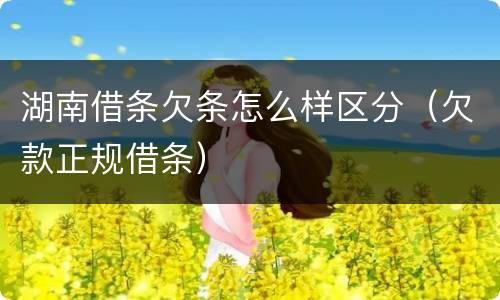 湖南借条欠条怎么样区分（欠款正规借条）