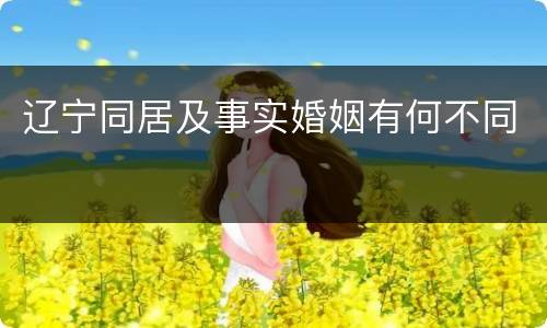 辽宁同居及事实婚姻有何不同