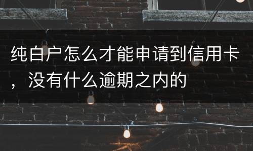 纯白户怎么才能申请到信用卡，没有什么逾期之内的