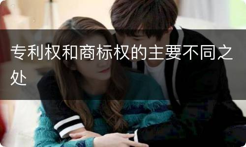 专利权和商标权的主要不同之处
