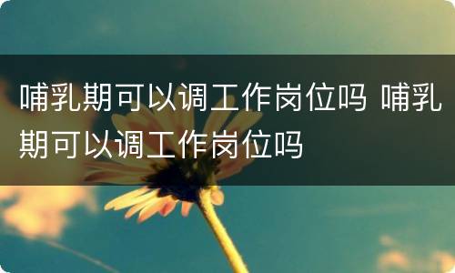 哺乳期可以调工作岗位吗 哺乳期可以调工作岗位吗