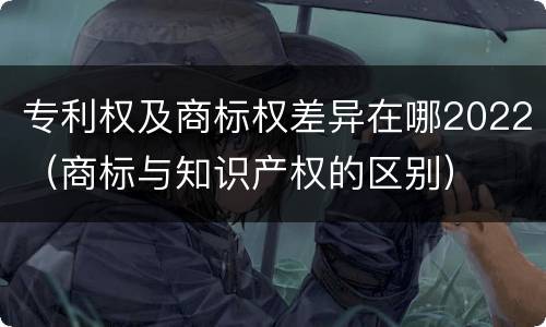 专利权及商标权差异在哪2022（商标与知识产权的区别）