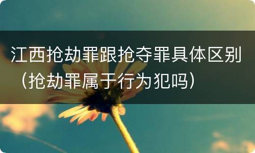 江西抢劫罪跟抢夺罪具体区别（抢劫罪属于行为犯吗）