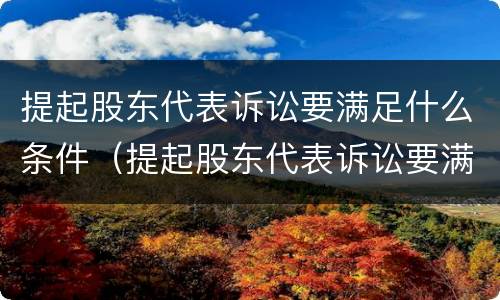提起股东代表诉讼要满足什么条件（提起股东代表诉讼要满足什么条件呢）
