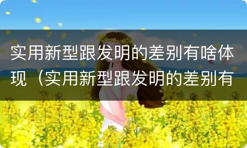 实用新型跟发明的差别有啥体现（实用新型跟发明的差别有啥体现呢）