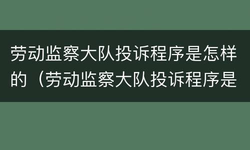 劳动监察大队投诉程序是怎样的（劳动监察大队投诉程序是怎样的呢）