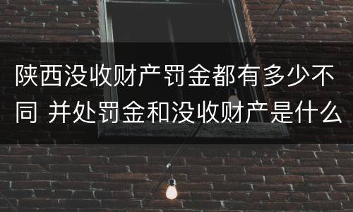 陕西没收财产罚金都有多少不同 并处罚金和没收财产是什么意思