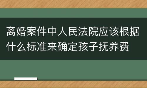 离婚案件中人民法院应该根据什么标准来确定孩子抚养费