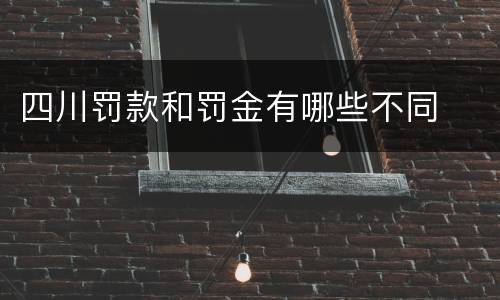 四川罚款和罚金有哪些不同