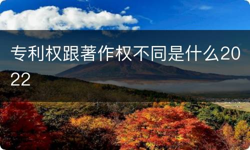 专利权跟著作权不同是什么2022