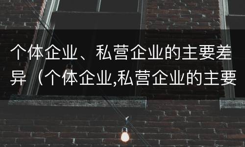 个体企业、私营企业的主要差异（个体企业,私营企业的主要差异有哪些）