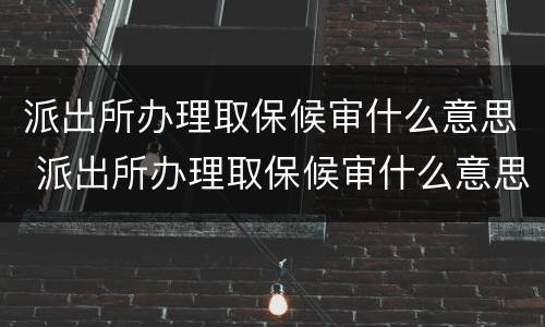 派出所办理取保候审什么意思 派出所办理取保候审什么意思呀