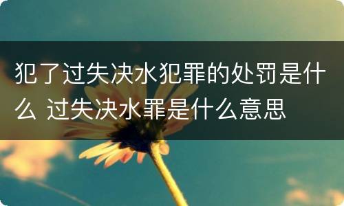 犯了过失决水犯罪的处罚是什么 过失决水罪是什么意思